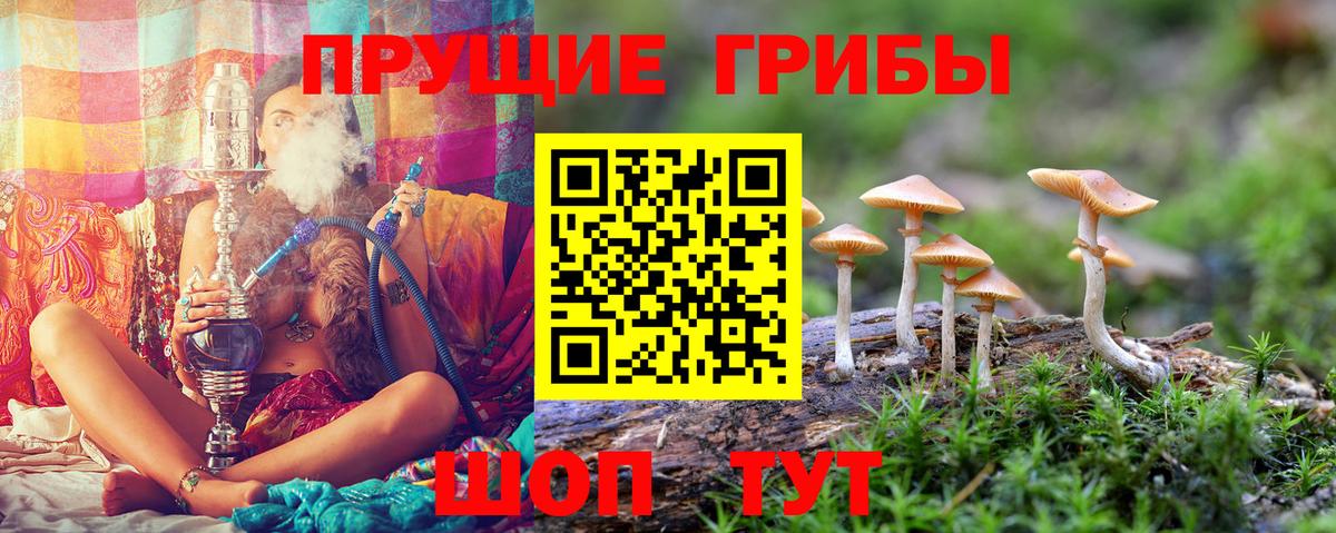 Галлюциногенные грибы мухоморы  Вход с VPN  Еманжелинск  Псилоцибиновые грибы мицелий 